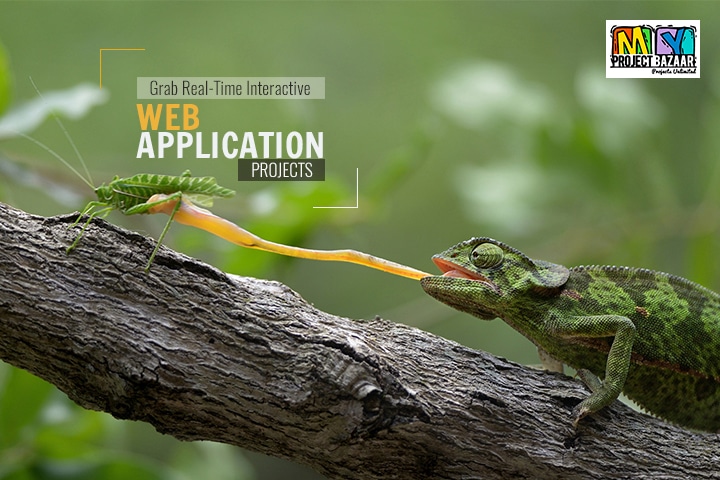 Interactive Web Application