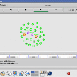 Multicast Mobile Ad Hoc Networks